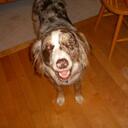 erik_olson - @erik_olson - Twitter