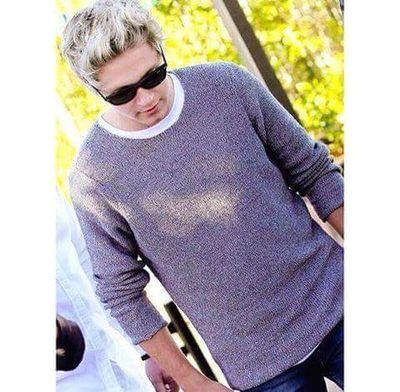 Mi hanno sempre detto che dovevo inseguire i miei sogni, ed io ho sempre risposto che tra me e Niall c'era la distanza