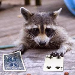 G4merTechugo's profile picture. 