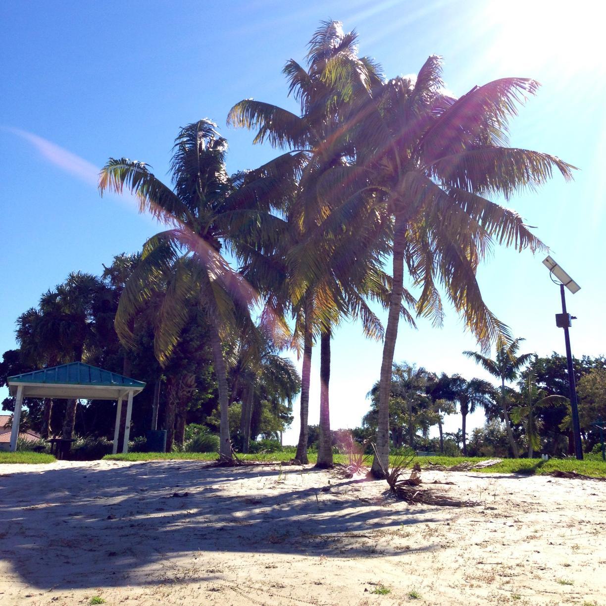 Need to know what's going on in #miami, #southbeach, #southflorida, #ftlauderdale? Follow us for up to date listings. Sponsored by @wingsbeachwear.