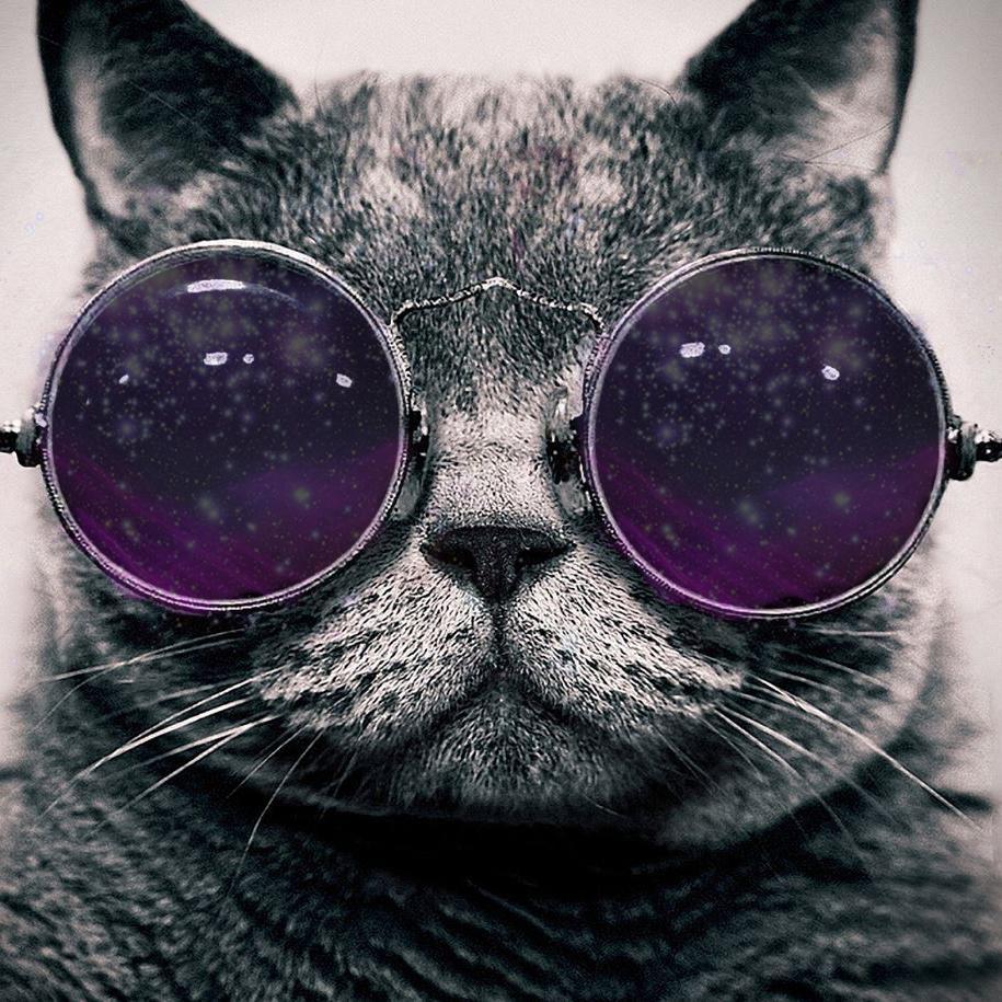 DumboArts's profile picture. 