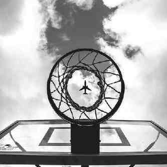 dogs 3
Zaptharwat ^^
basketball