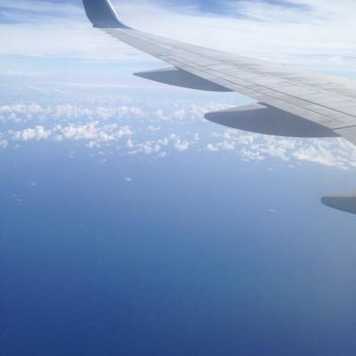 bradywolfy's profile picture. 