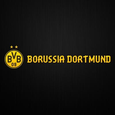 a torcida brasileira do bvb, BVB não é um simples clube, é mais que um clube e uma nação unida e forte UMA GRANDE NAÇÃO.