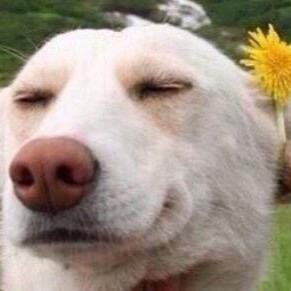 magcon_lov Profile Picture