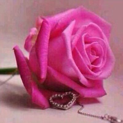 ‏‏‏‏‏‏‏‏‏‏‏اللهم أرزقني. حظ الدنيا. .ونعيم الأخره..ويسر لي كل أمر عسير.