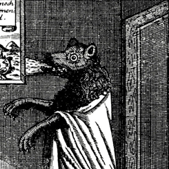 ViscusMutante's profile picture. Researching shapeshifting mythos for upcoming film #Sylvan