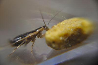 pest_hunters's profile picture. 