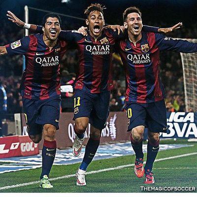 PedroVinal's profile picture. 