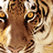 leonaruth's profile image