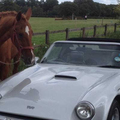 Equestrian and TVR fan