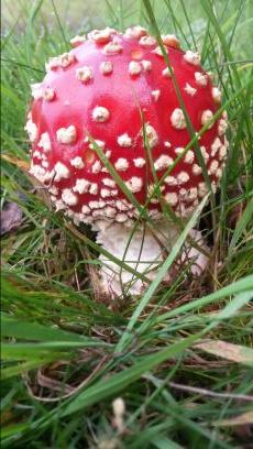 _Theunisse's profile picture. Loves family, physics, physical activity & the treaty of Westphalia  - occasional golfist, cyclist, hill-walker. 
Deus vult