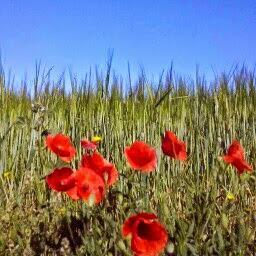 covadongajimen3's profile picture. 