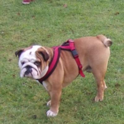 promckee13's profile picture. banta