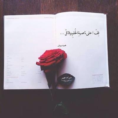 Q8i_Economist's profile picture. | إذَا طَمَحَتْ لِلْحَيَاةِ النُّفُوسُ فَلا بُدَّ أَنْ يَسْتَجِيبَ الْقَـدَرْ |  seeking peace in a chaotic world