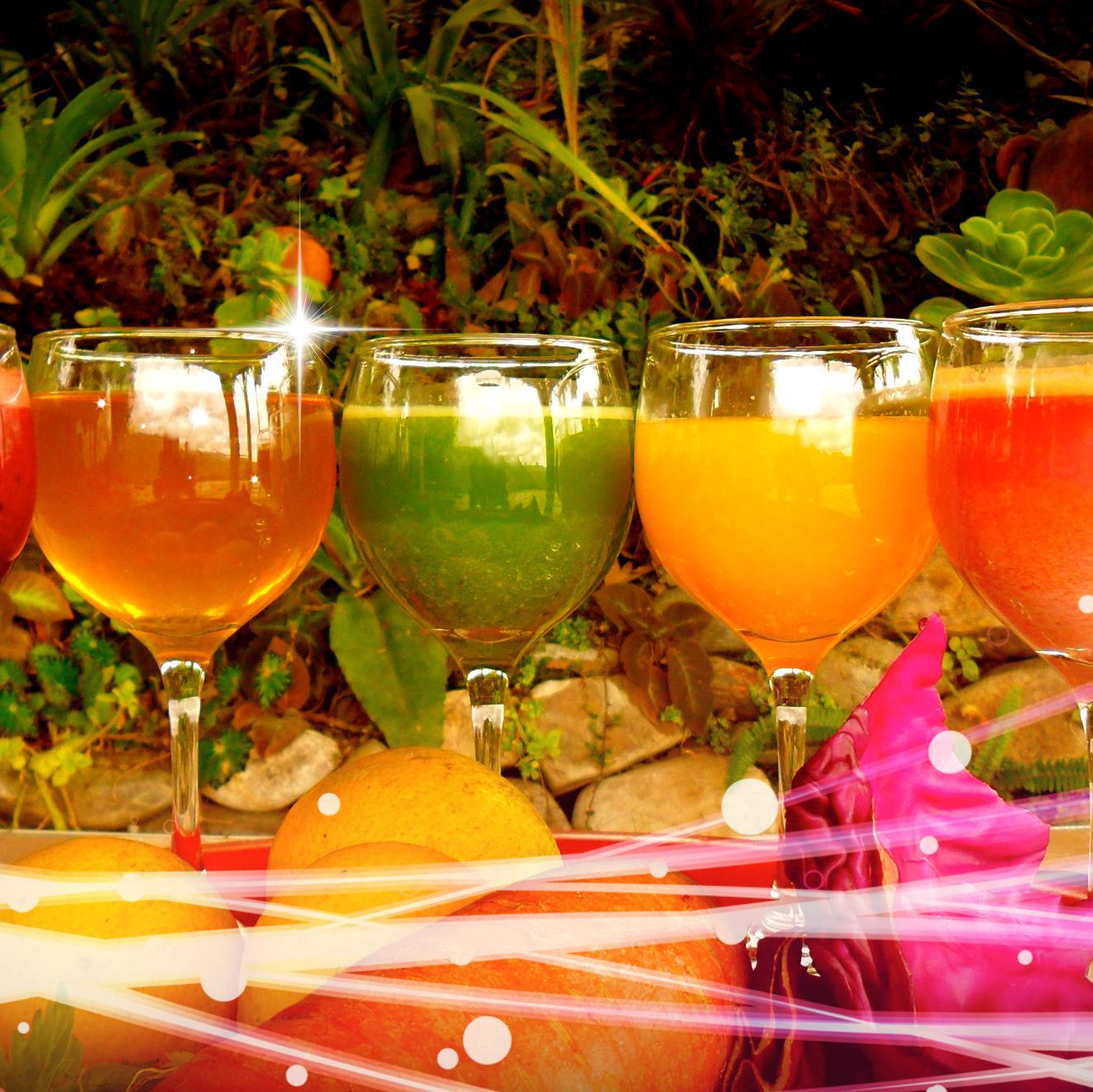 findbestjuicers's profile picture. Find best juicer-Get the latest information and reviews of best juicer,know more about discount,types of juicer.