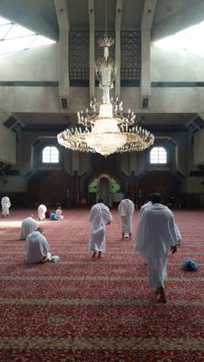 اللهم اجعلنا من المتقين  
اللهم اجعلنا من اهل القرآن 
Ameen
Ameen
Strive To Please Your Rabb! لوجه الله