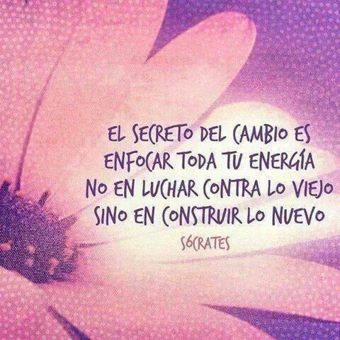 turcamagon's profile picture. 