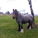 Connie Sun - @webmonkey168 - Twitter