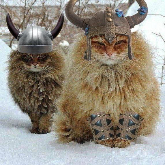 Photoshopper of things.