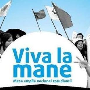 Por una educación para un país con soberanía, democracia y paz, ¡viva la MANE!