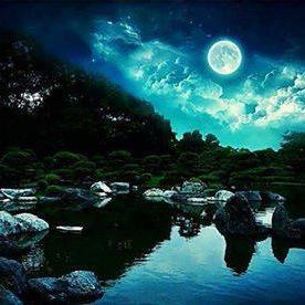 dialruar_1999's profile picture. 