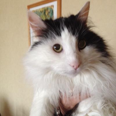 adelawilliamsig Profile Picture