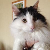 Adela Williams (@adelawilliamsig) 's Twitter Profile Photo