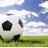 SierraJ12068239's profile image