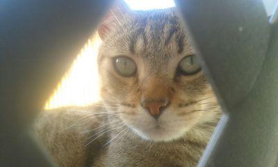 CarmeGarcia1964's profile picture. 