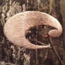 Ross Melancon - @rossmelancon - Twitter