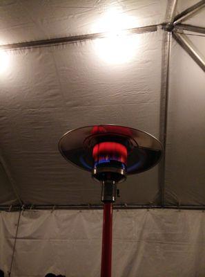 HackconAnnex's profile picture. The voice of Hackcon's frozen forgotten