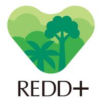 REDD+ プラットフォーム(@reddplus_PF) 's Twitter Profile Photo