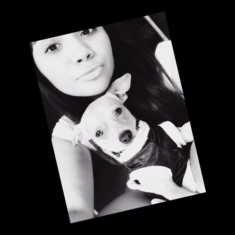 FerSalas23_'s profile picture. ~Sonríe como Niall, Amate como Zayn, Vive como Louis, Respeta como Liam y Disfruta como Harry ~ DIRECTIONER ツ