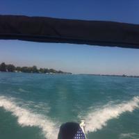 Publynxter (@publynxter) 's Twitter Profile