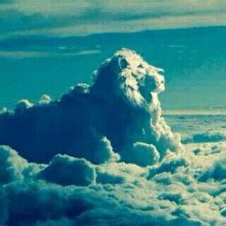God's Favourite.