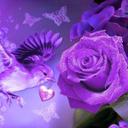 glen corey - @halfbreed47 - Twitter