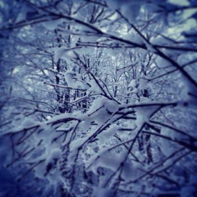 kimrybacki's profile picture. 