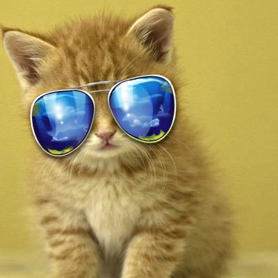 JusticeAllenPr1's profile picture. PLZ FOLLOW ME! AND PLZ TELL YOUR FRIENDS ABOUT ME!