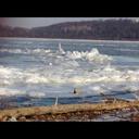 Katelyn Benjamin - @katiebeth730 - Twitter