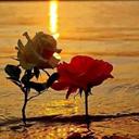 Brian Sigman - @131e9cf67902493 - Twitter