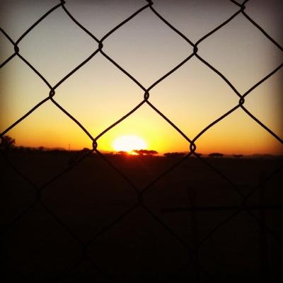 aass33552 Profile Picture