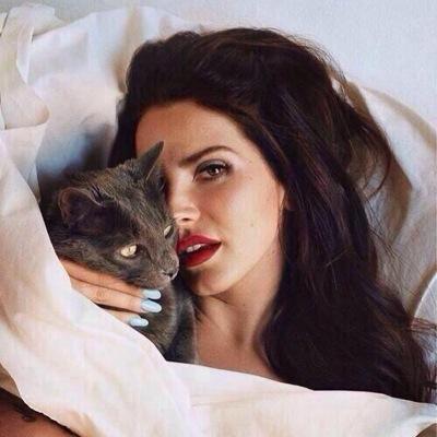 maxbitch101's profile picture. 