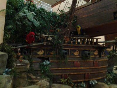 wildturkey92823's profile picture. I am a huge fan of divas and I love AJLee