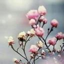 Rose Dare - @56j1156 - Twitter