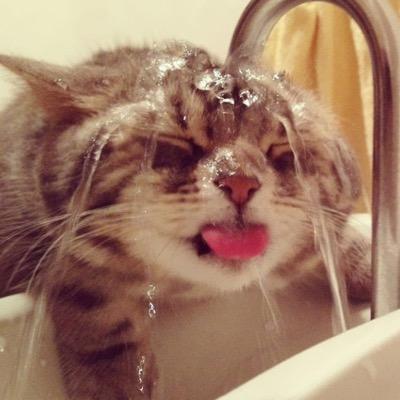 TheMissLinds's profile picture. fashion, style, art + culture. 
i make things in my spare time.