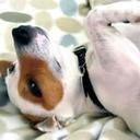 Mary - @MarySheaHall - Twitter