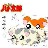 とっとこハメ太郎さんのプロフィール画像