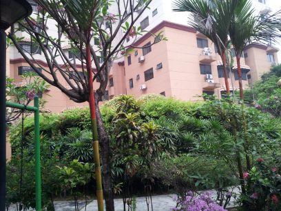 miyobelle's profile picture. 