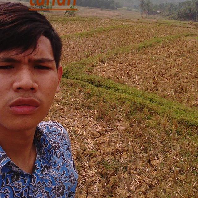 Klw pengen kenal gua. dm pin aja.